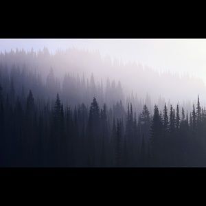 Meet your Posher, Delia